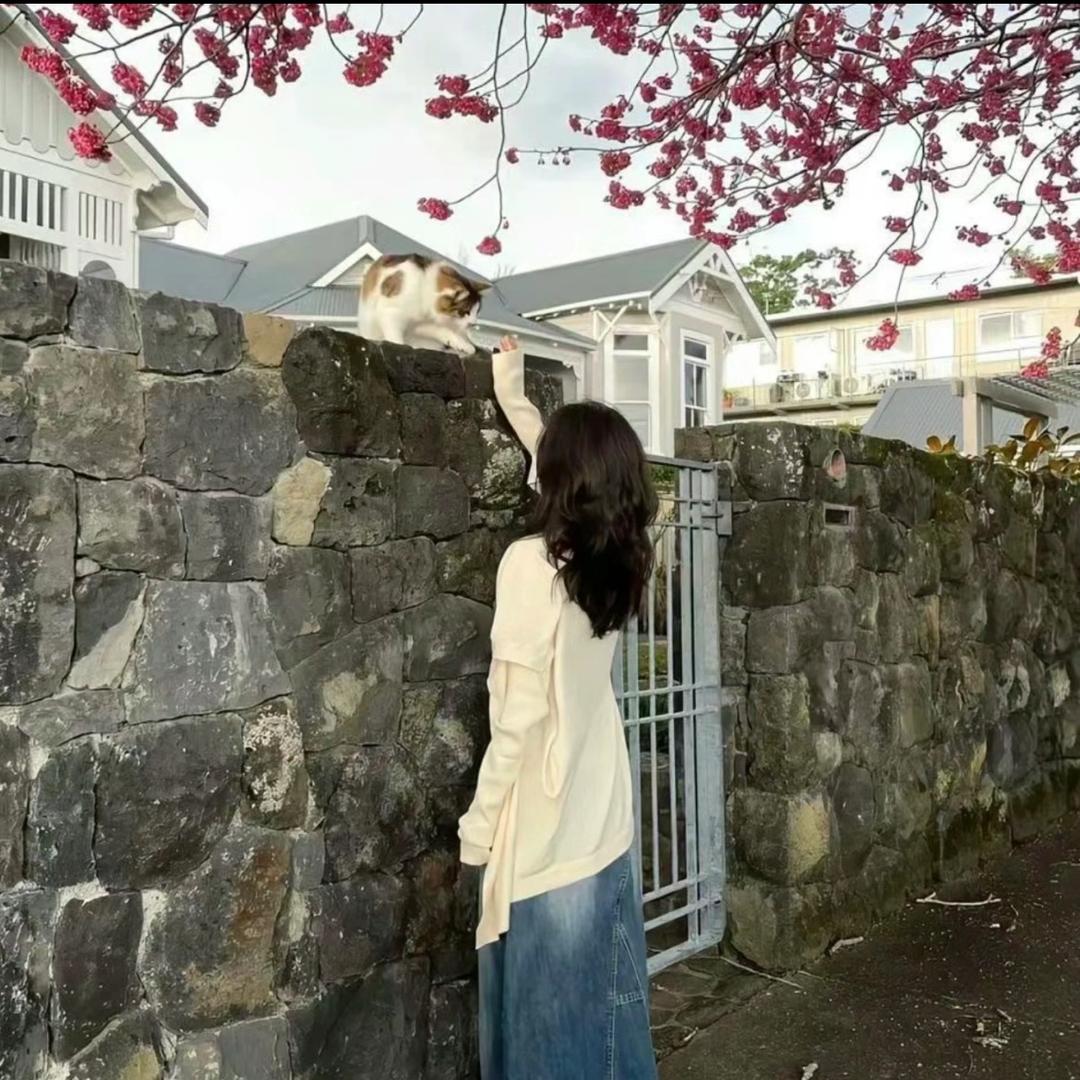 村上春树的猫