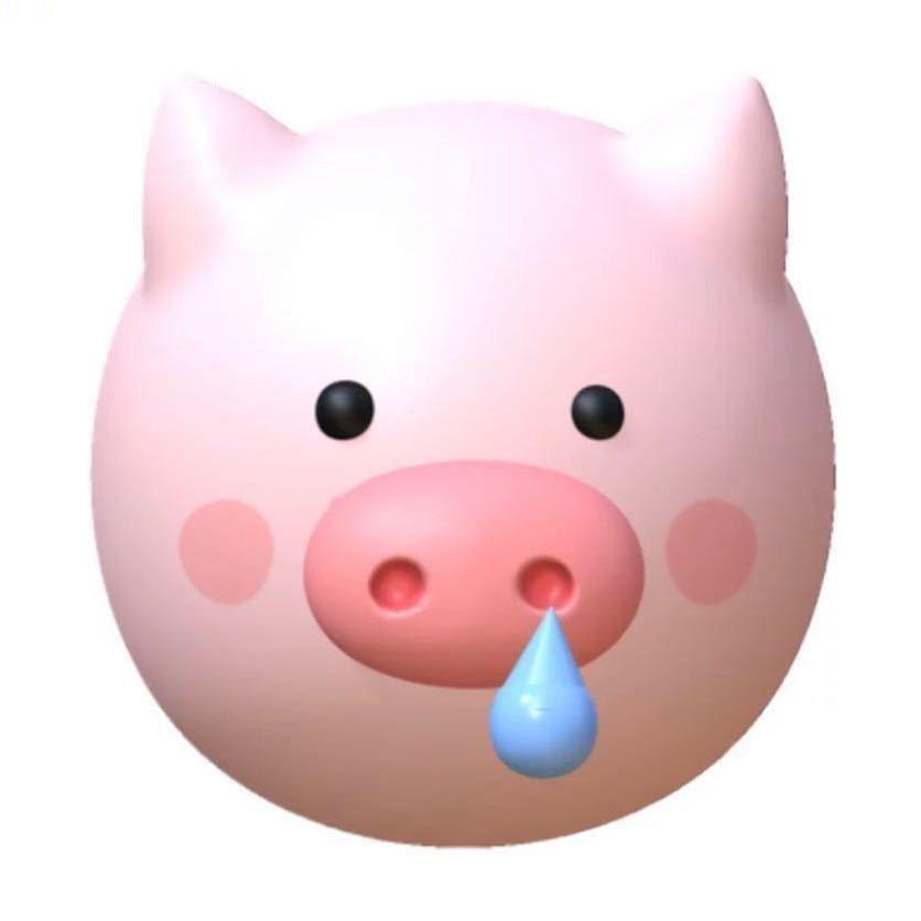 yuyu🐽