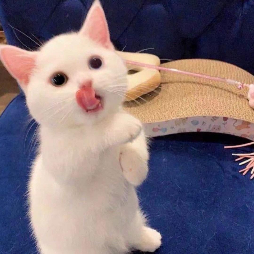 .Tian
