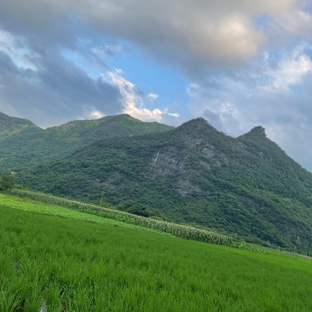 “韦”您好