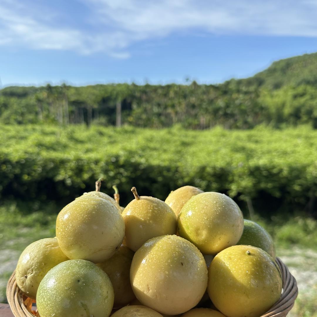 万宁东兴供销社优选市集