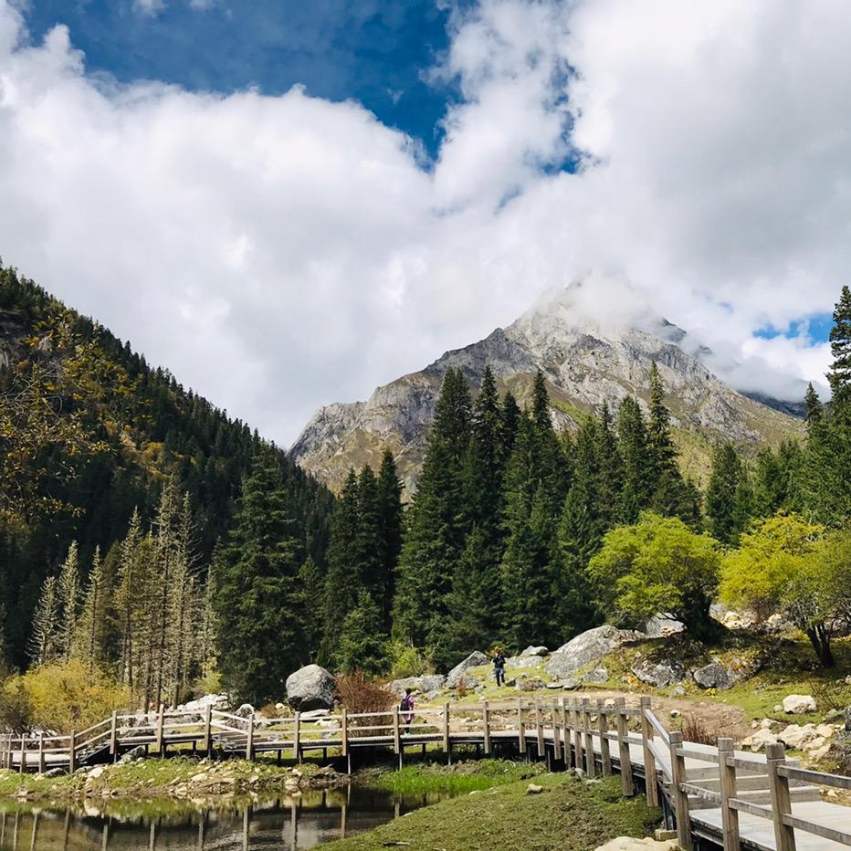 硬笔练字LiLy老师🫐