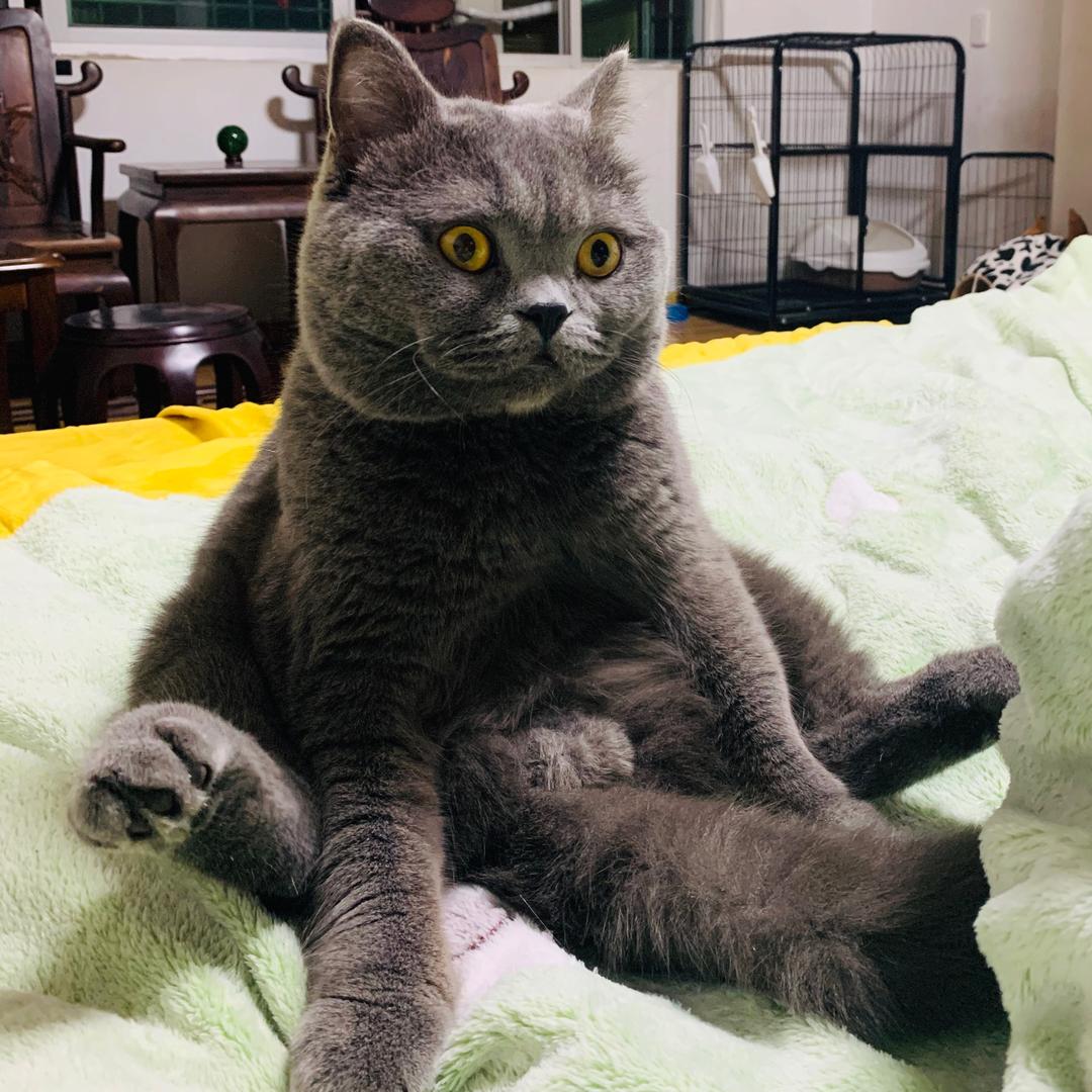 🌈七七七七七七七七