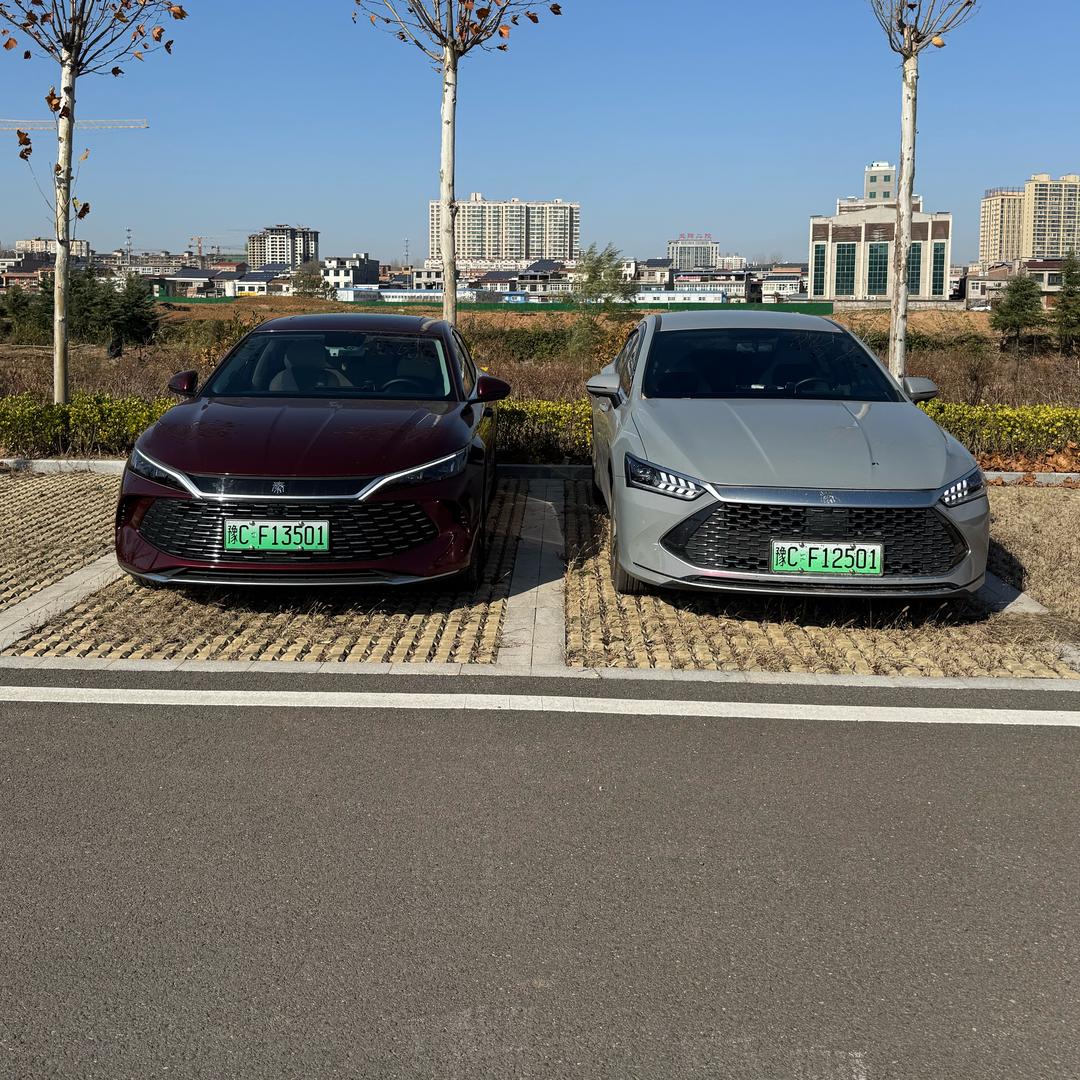 兔八哥秦dmi