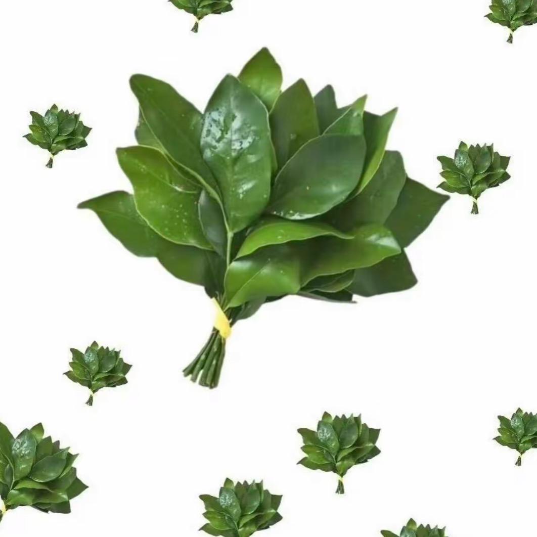 🌈养猪预备选手