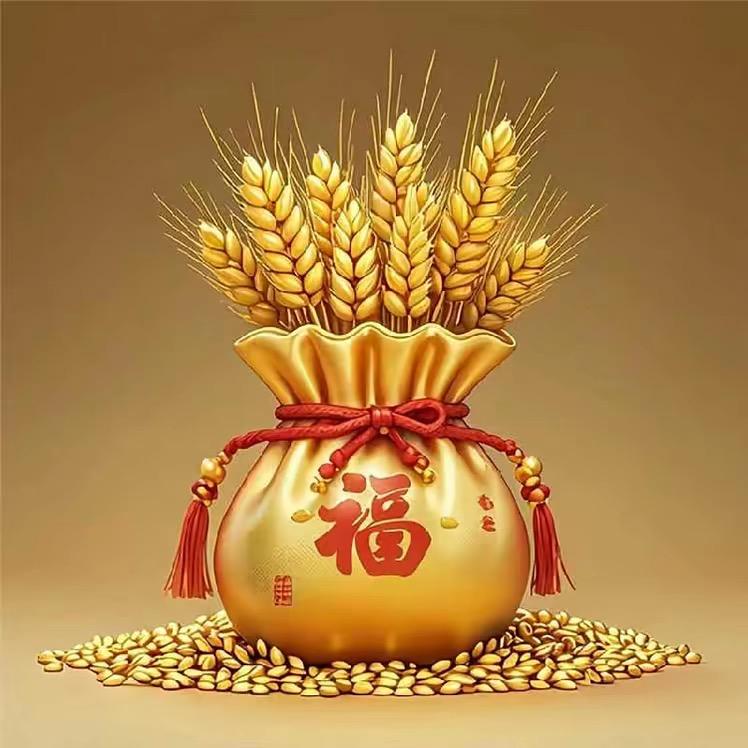 ༊᭄越来越好༊᭄