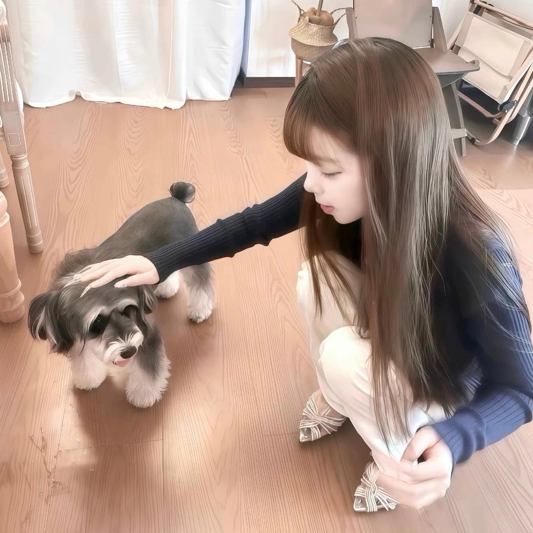 呆呆