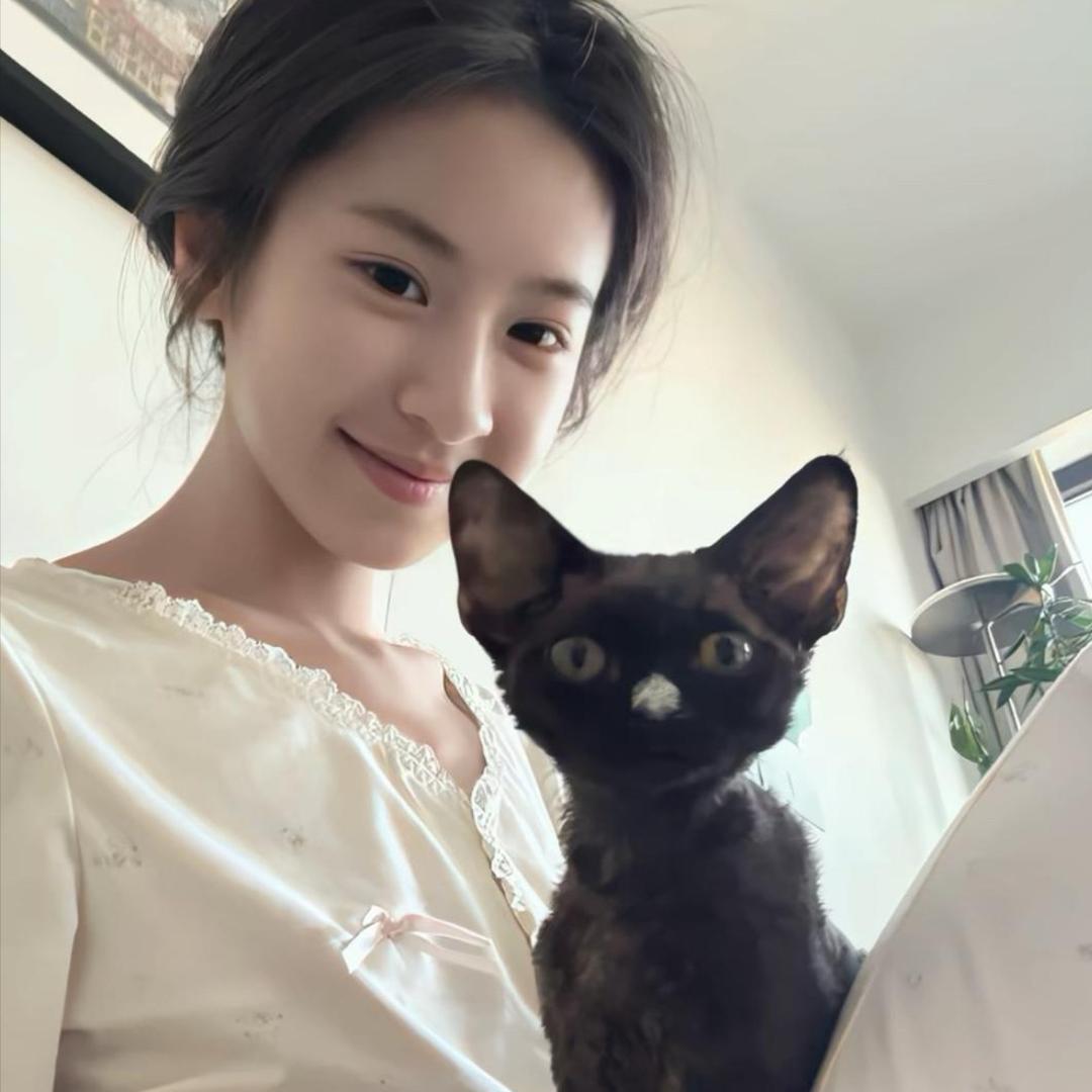 两只猫.