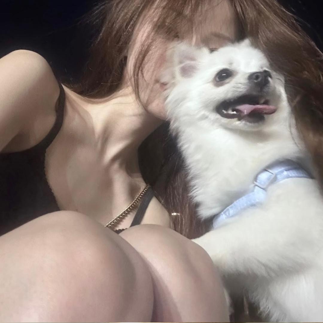 🌈小陈不困💤🌈