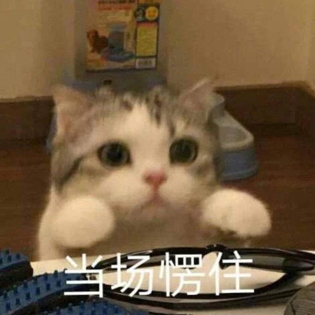 @三七