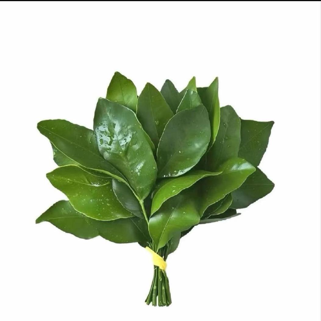 纯情.