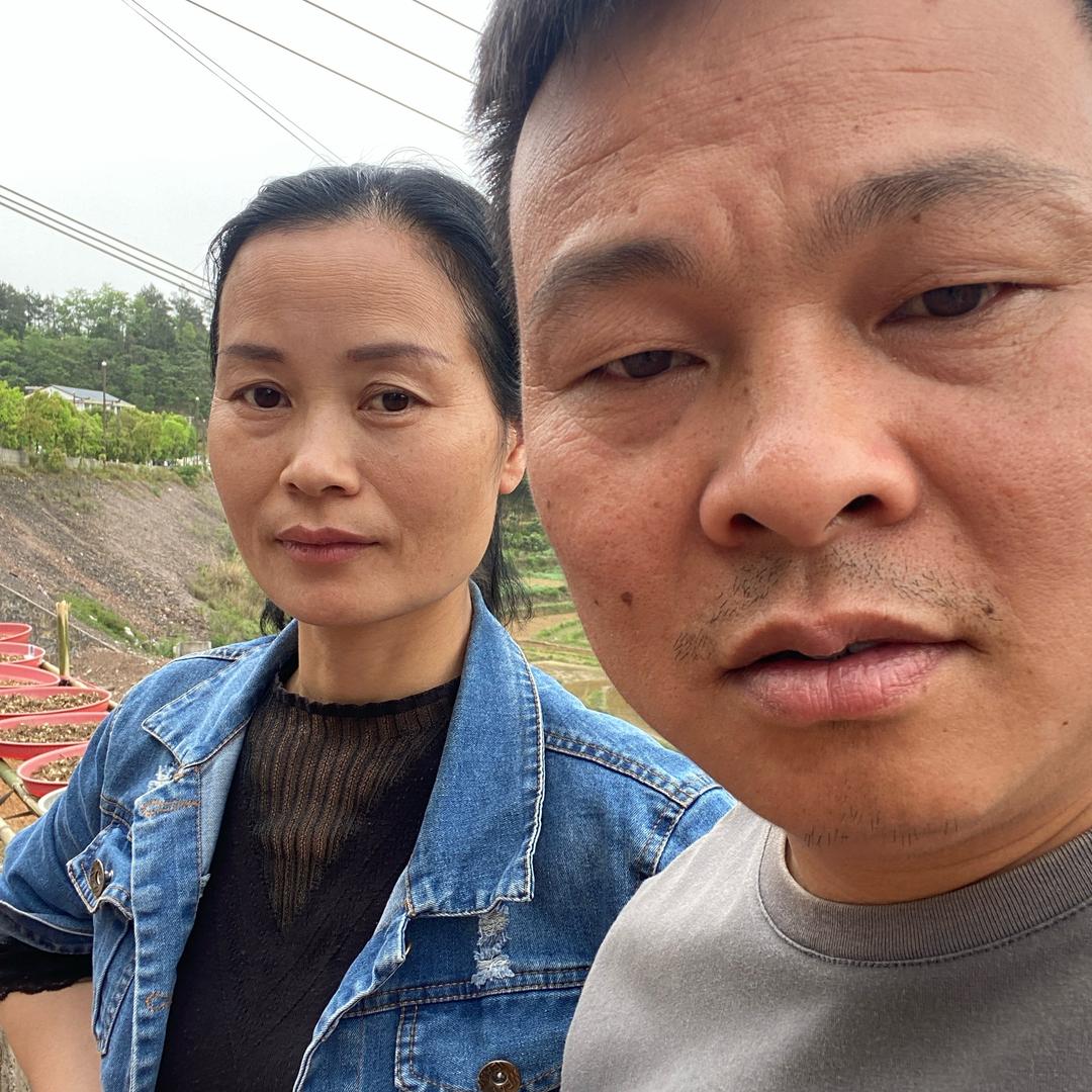 连姐泡酒料（老杨徒弟）