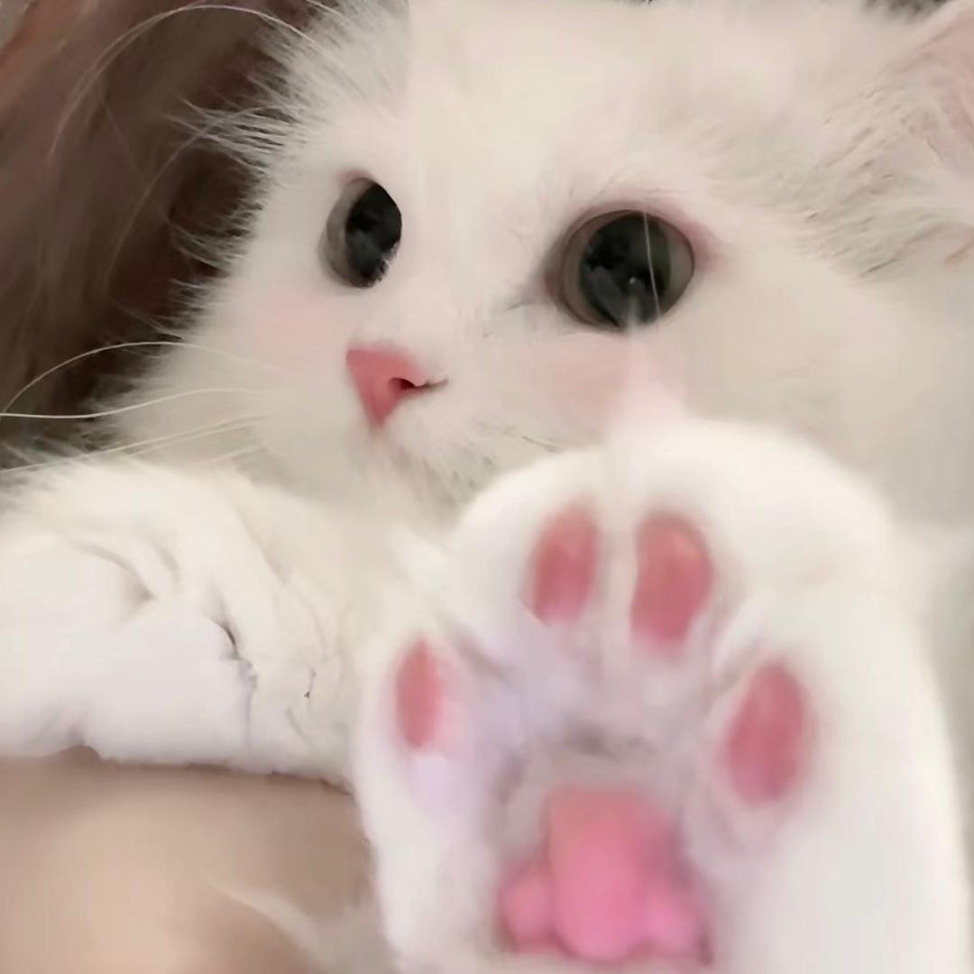 熬夜大王qq