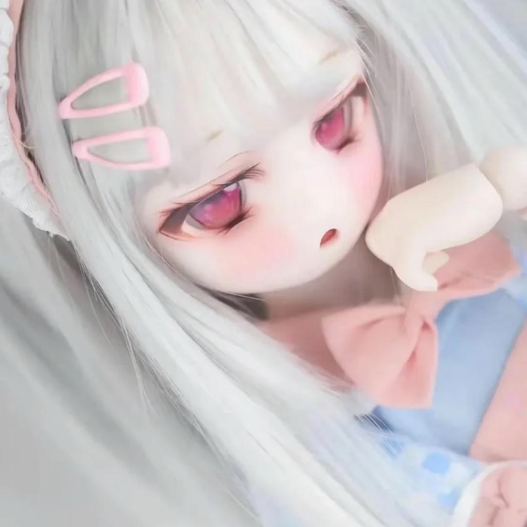 陈皮是只猫