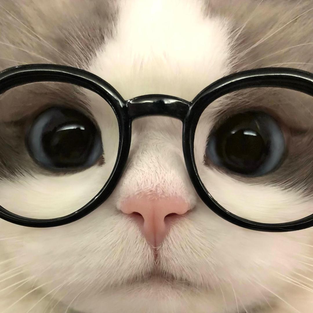 發