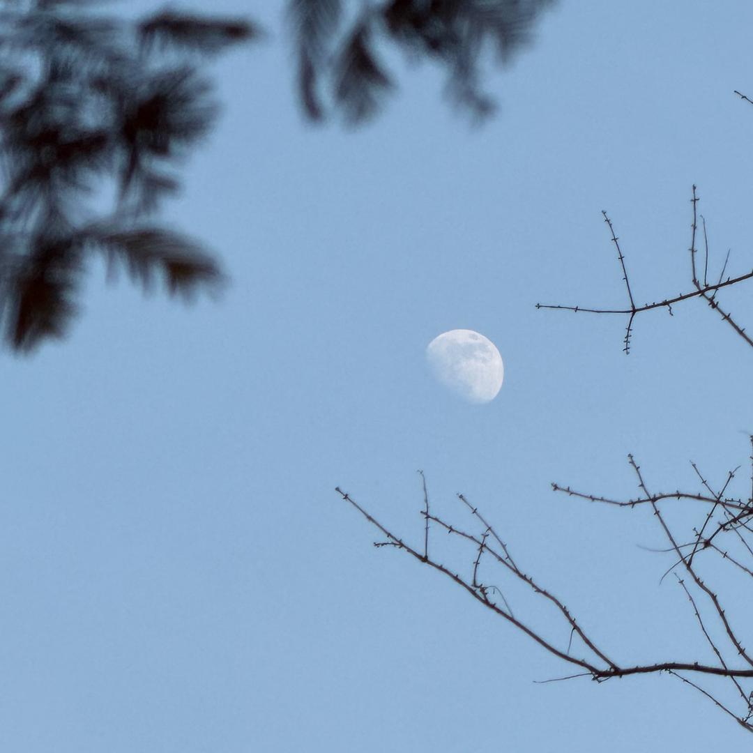 清风明月