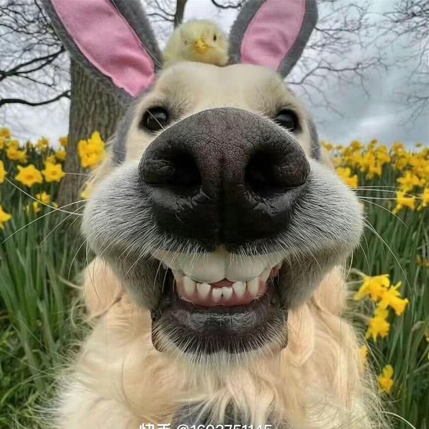 迷人的小奶罐🍼