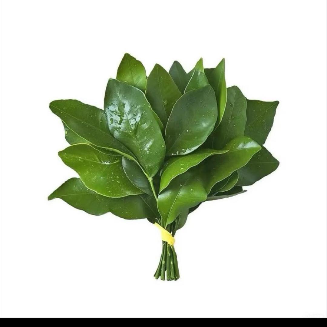 洪小龙(乐平后生呢)