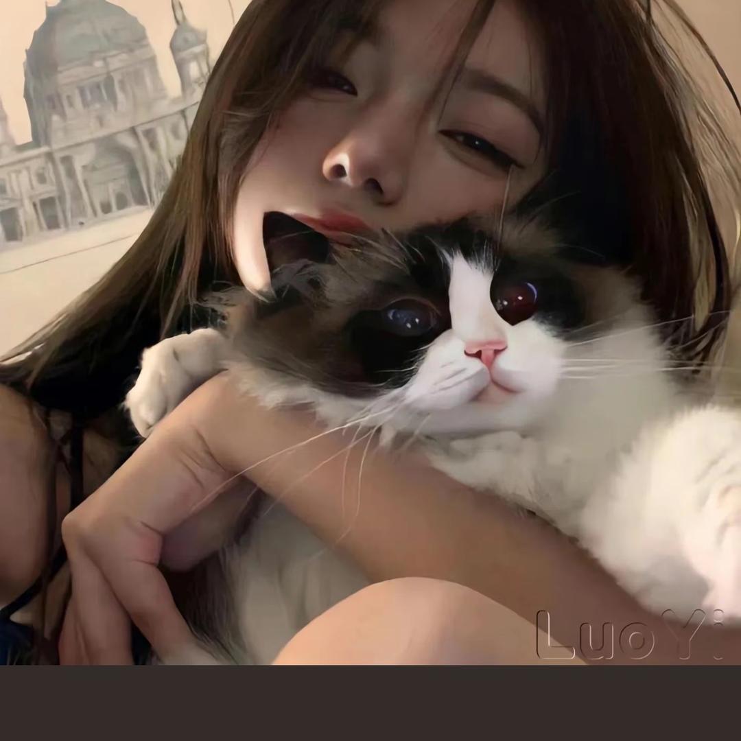 盼君如故三月-