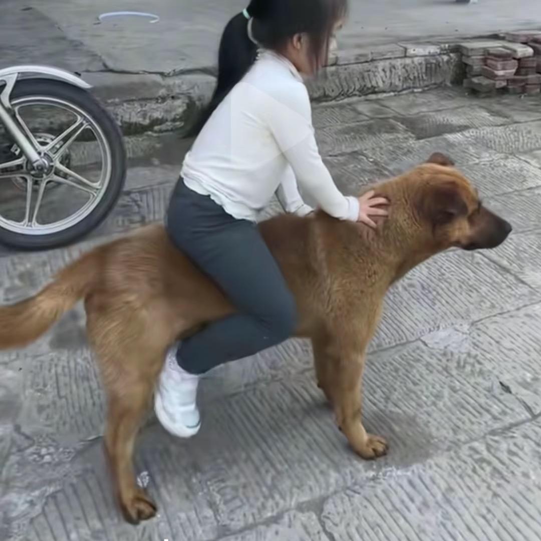无奈的思念
