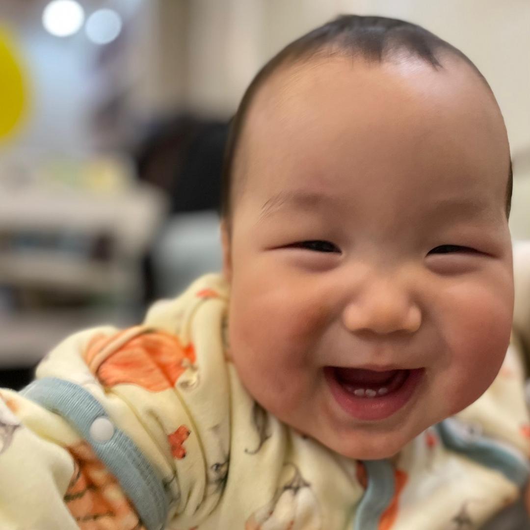 贝壳和他的朋友们