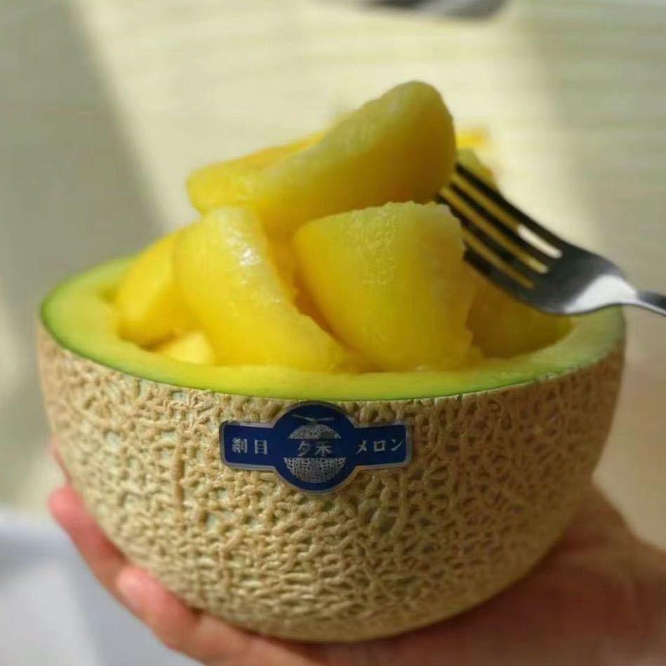 果乐优果蔬工坊