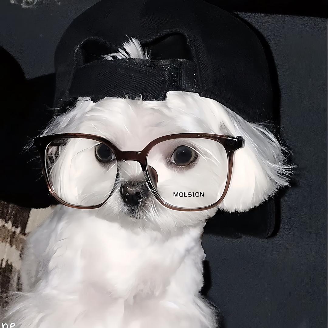 看恁哒哒