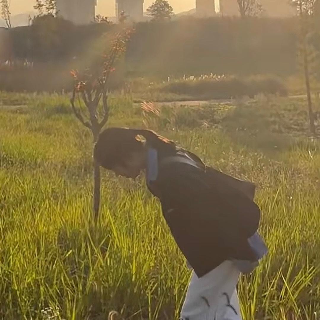 健康码