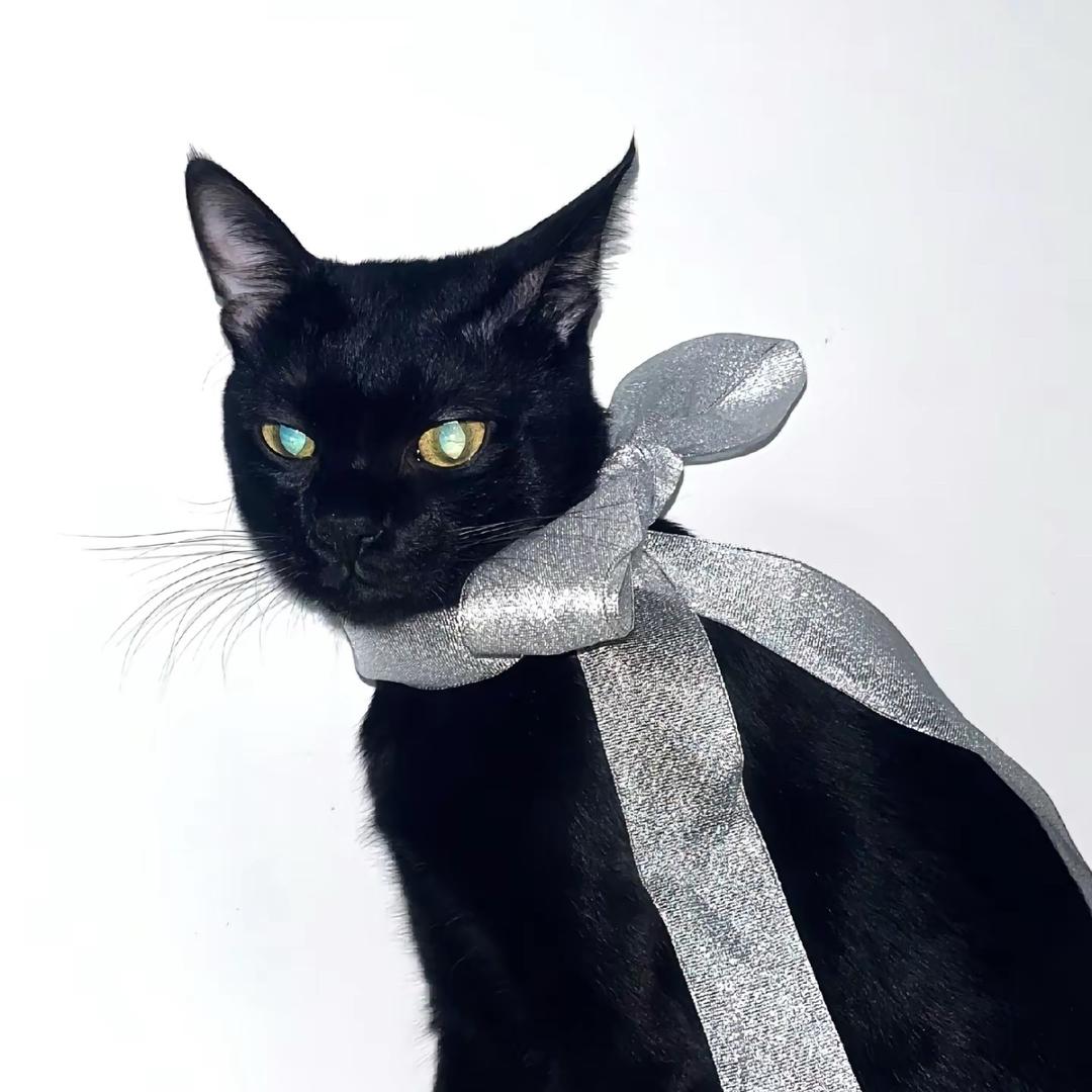 ᴘ̶ᴇ̶ᴀ̶ᴄ̶ᴇ̶ᴍ̶ɪ̶ɴ̶ᴜ̶s̶