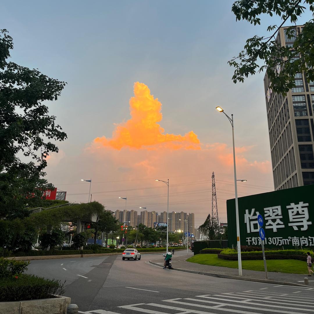 小小干饭人👧🏻小橙子🍊