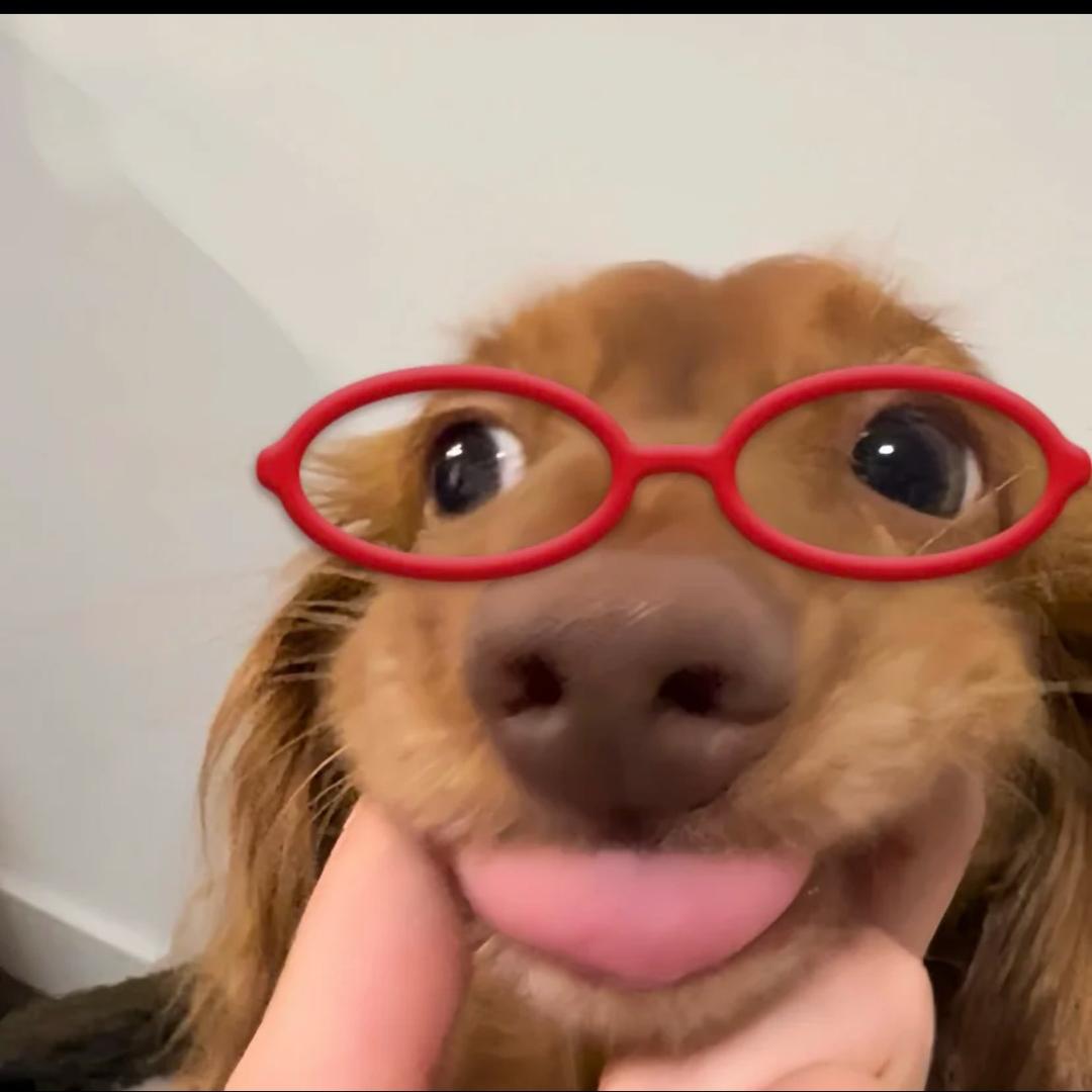 祝我肠胃健康