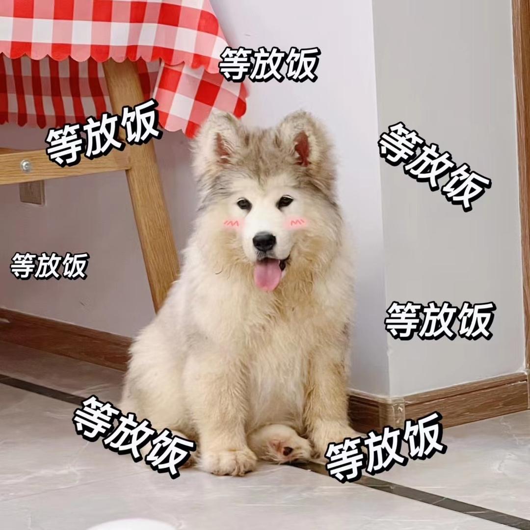 🌈^_^臭弟弟