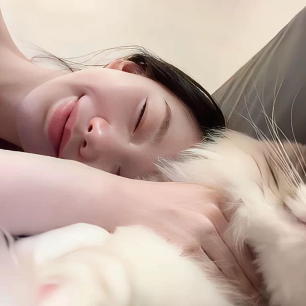 我想睡觉了