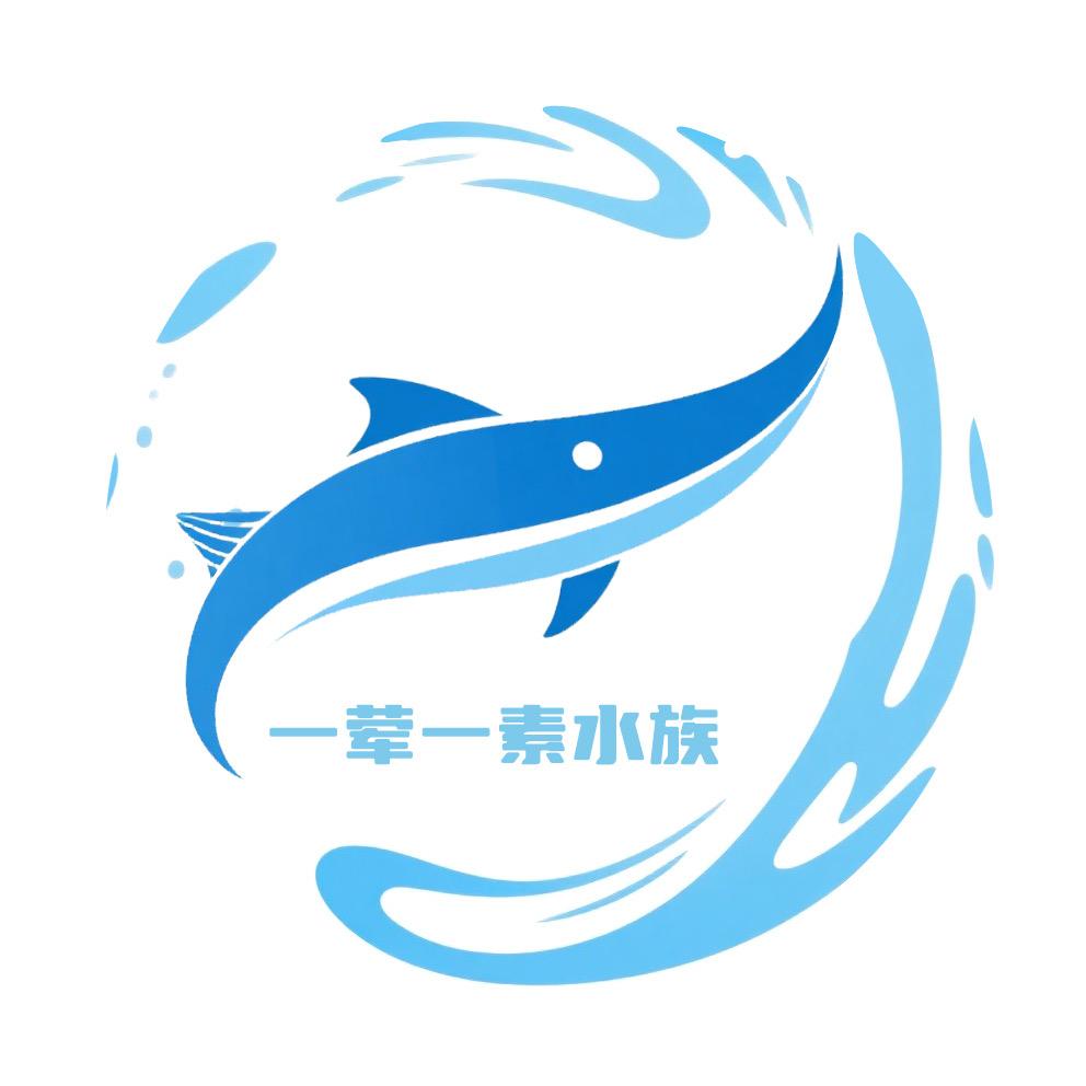 一荤一素水族日常