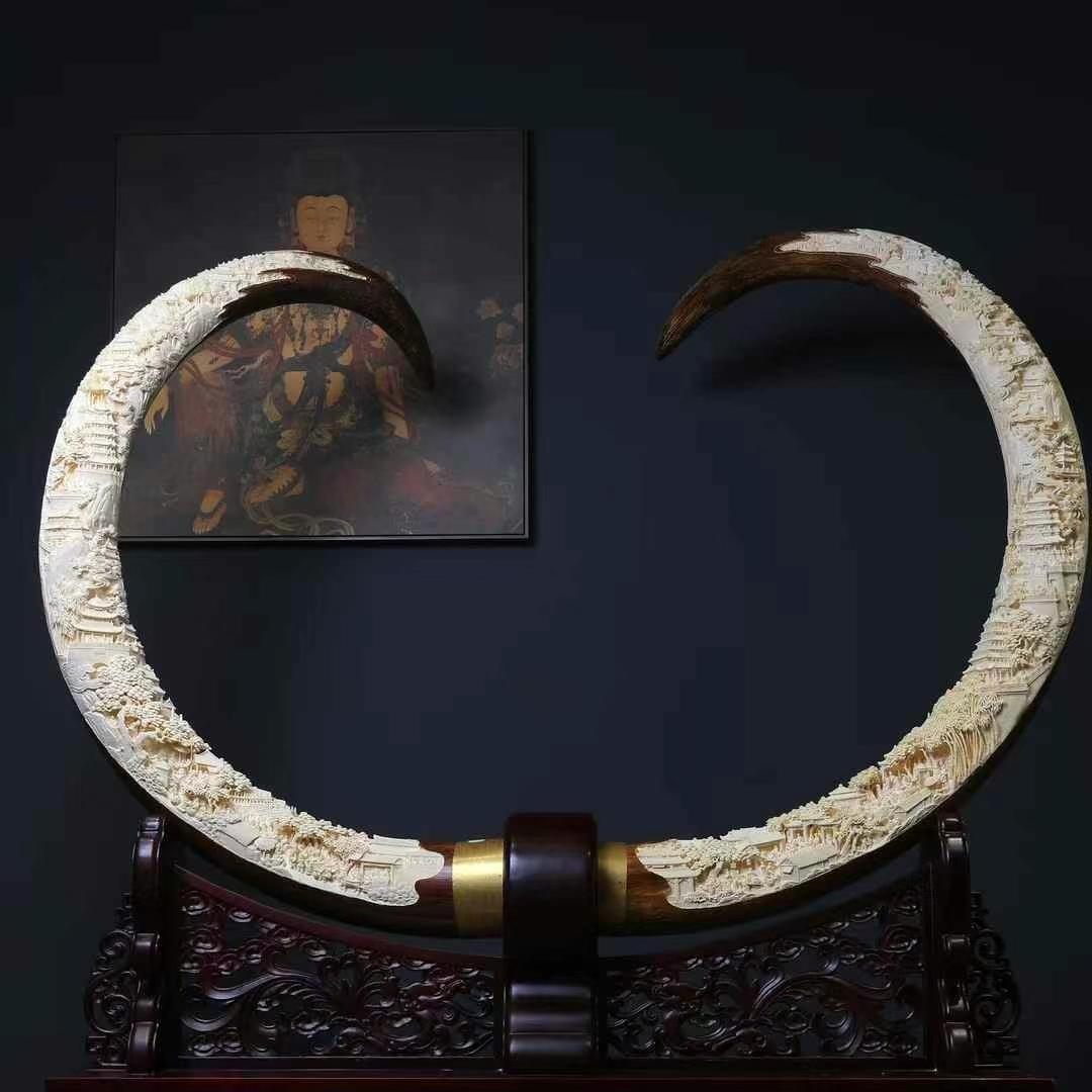 象往而生（猛犸工厂）