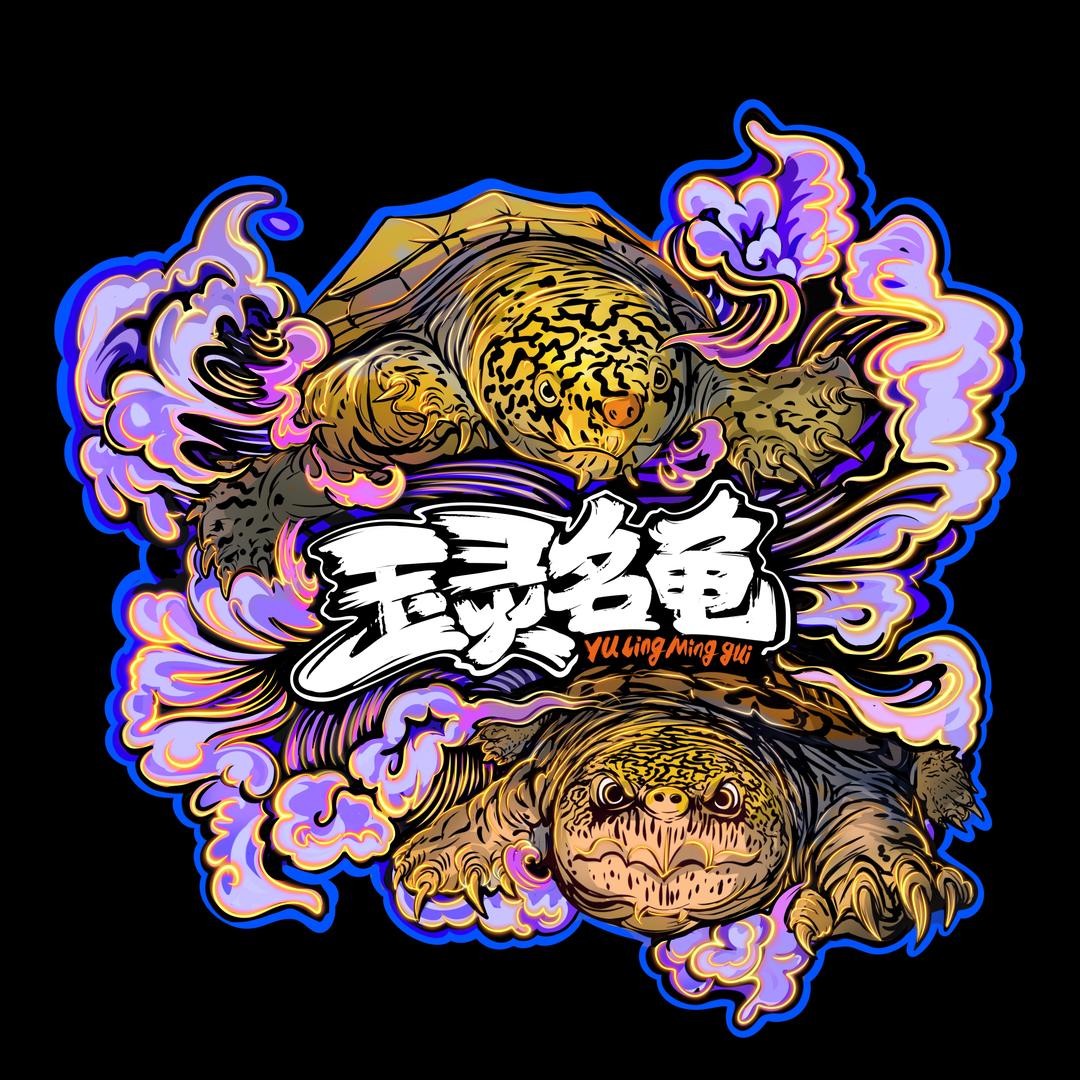 玉灵名龟-小阿文