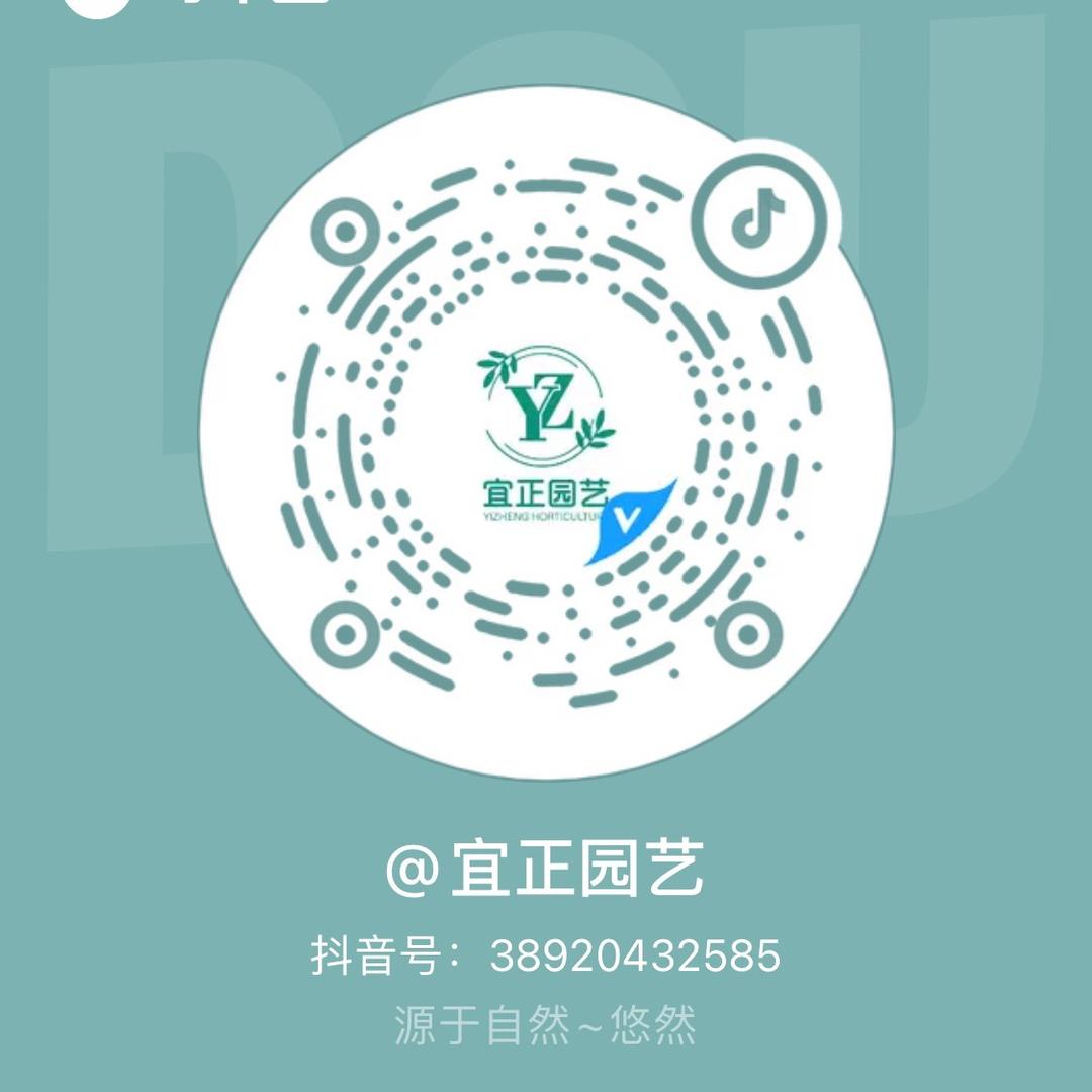 宜正园艺