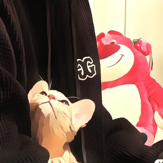 This 猫八萬（严选版）