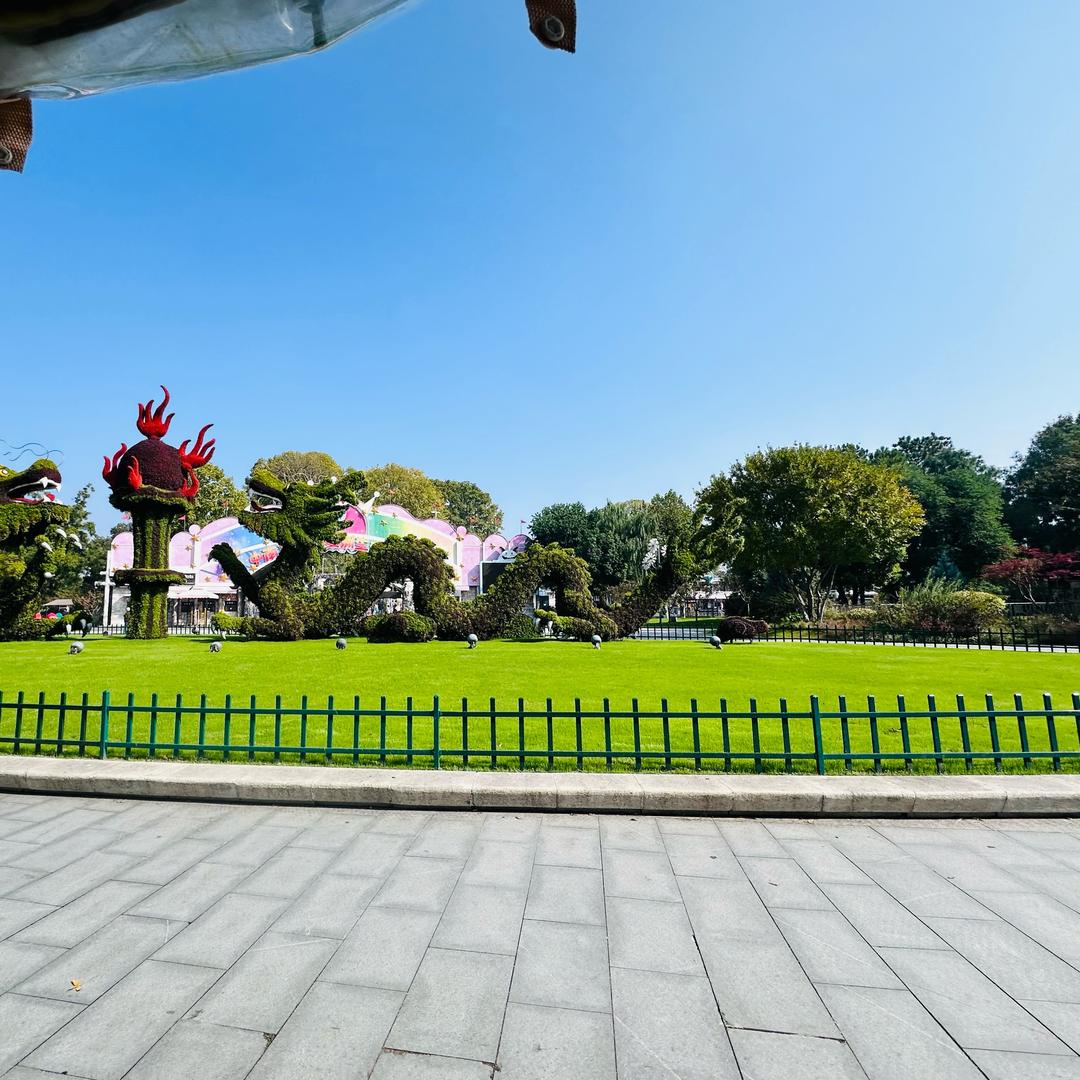 圆脸小花🌸