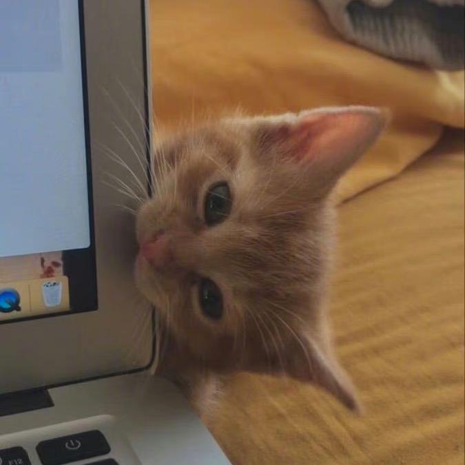 玛卡巴卡上天噜