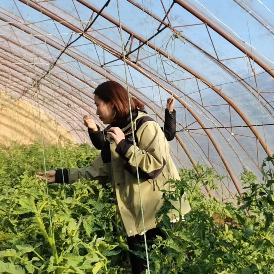 索菲克厂家直供