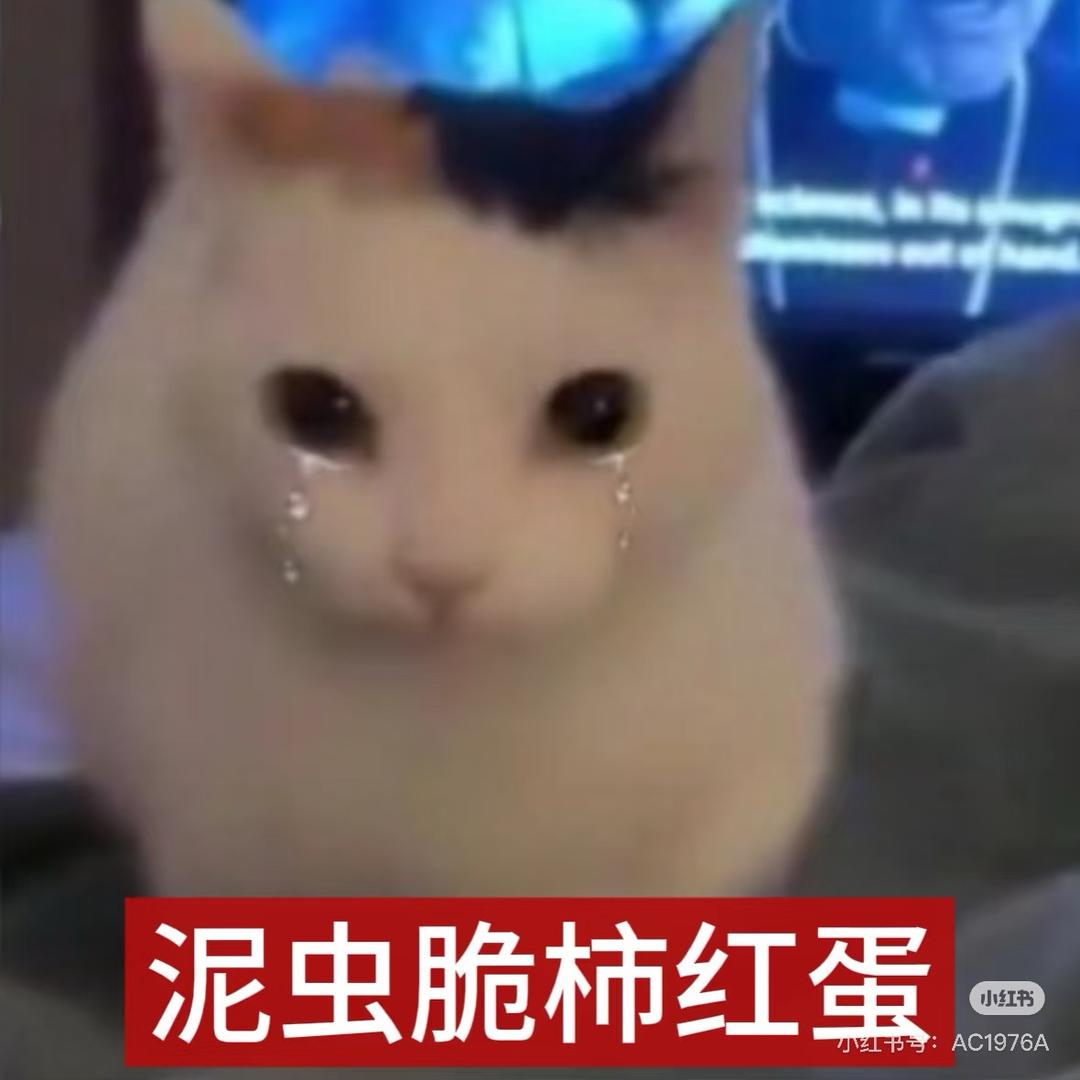 IQO