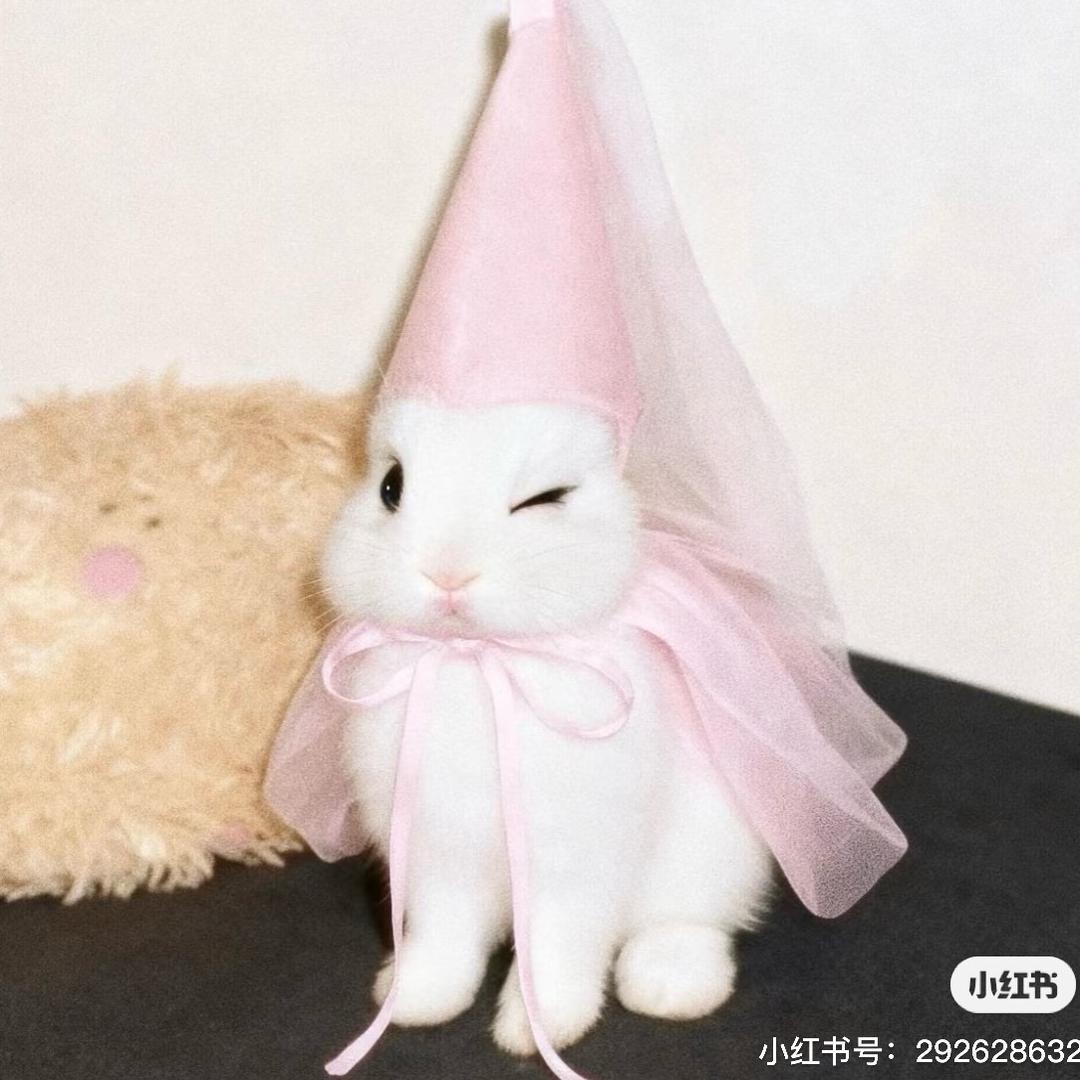 陈年老醋来一口