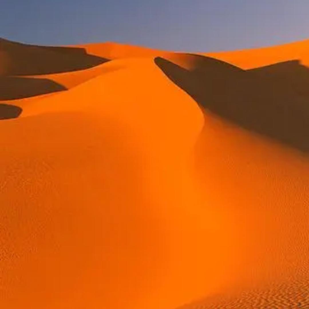 🔥沙漠火