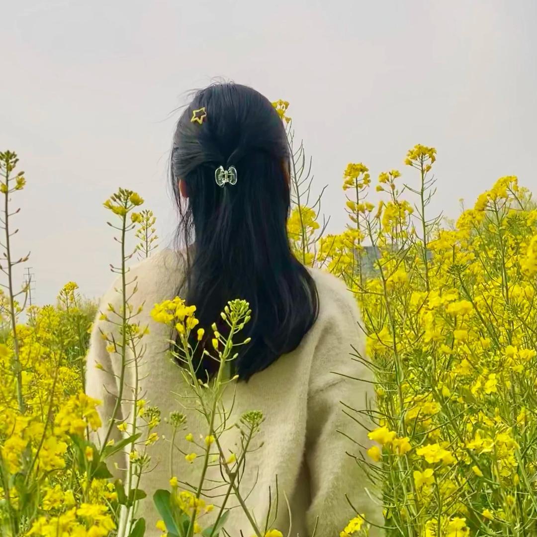 雅儿呀🐑