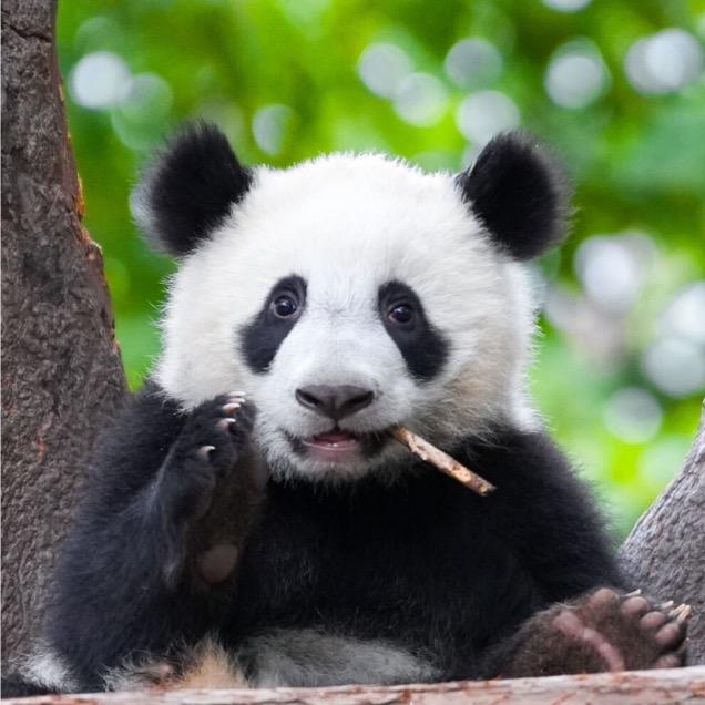 辰辰儿童家居