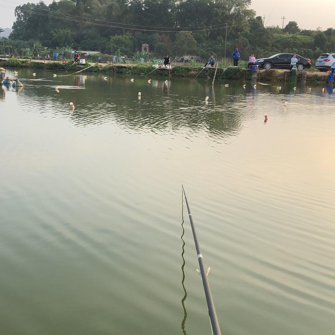 一个人挺好！