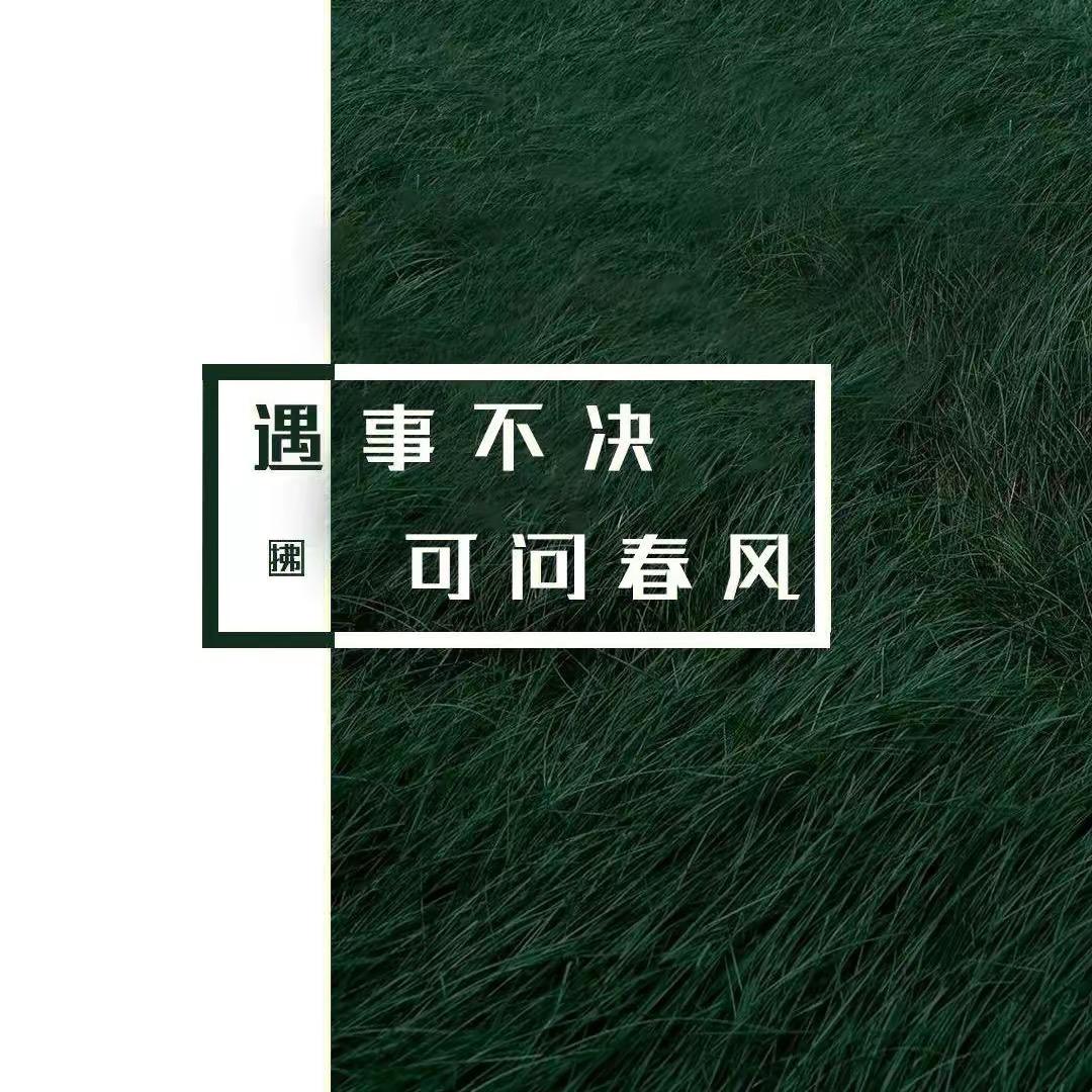 阳光明媚