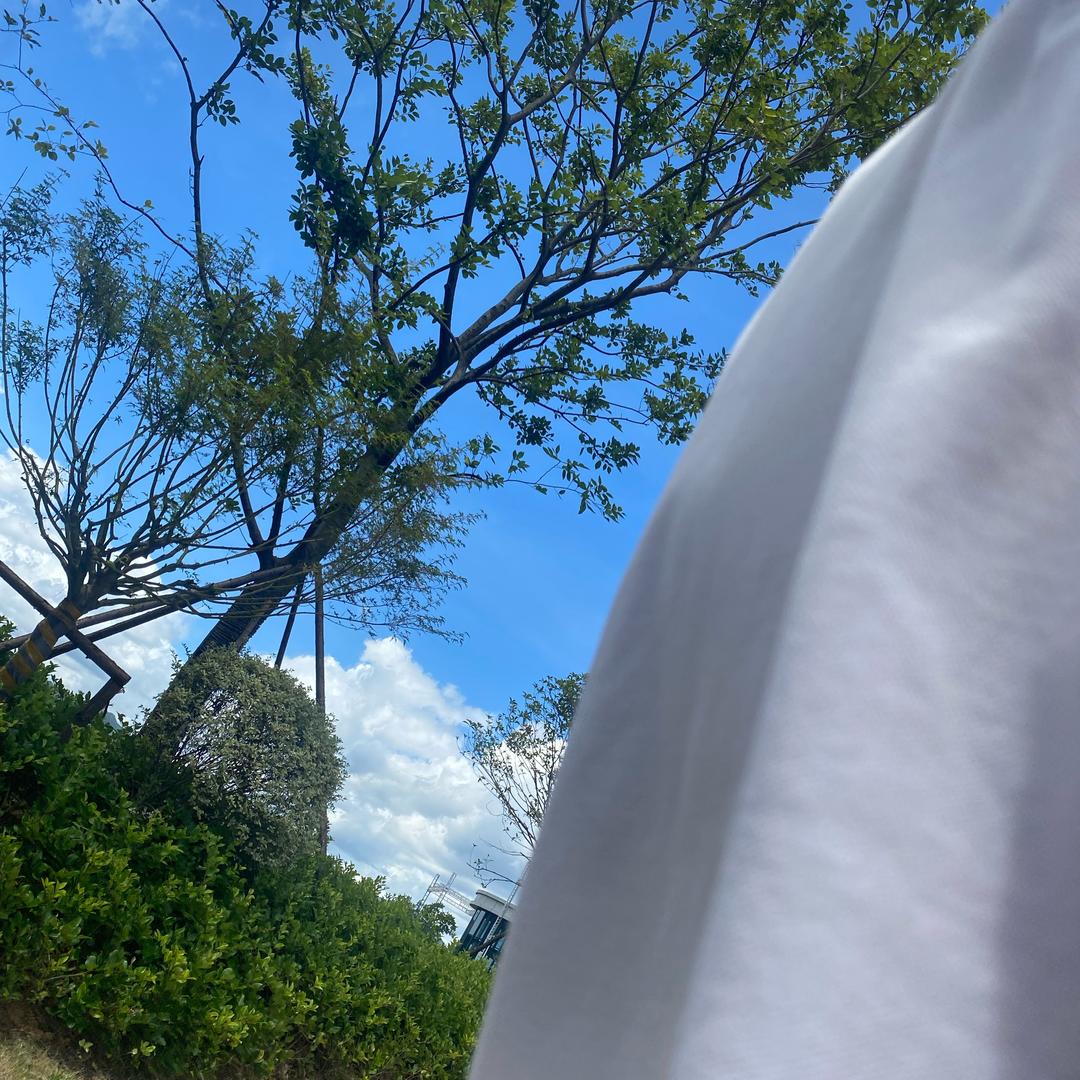 渡