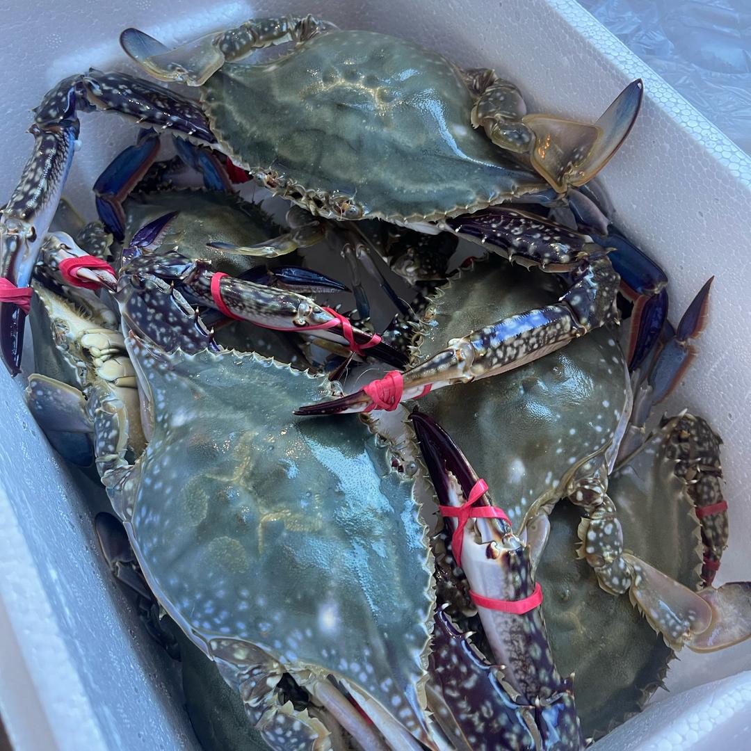 大花海鲜供应链